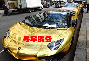 成都寻人找车公司 车辆丢失如何查找-专业寻找失踪车-查封车-被盗车-进口产品